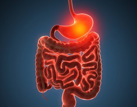 gastroenterology